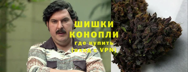 индика Алексеевка