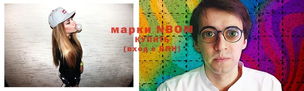 мет Алексин