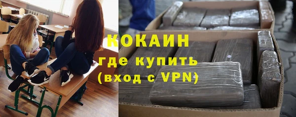 мет Алексин